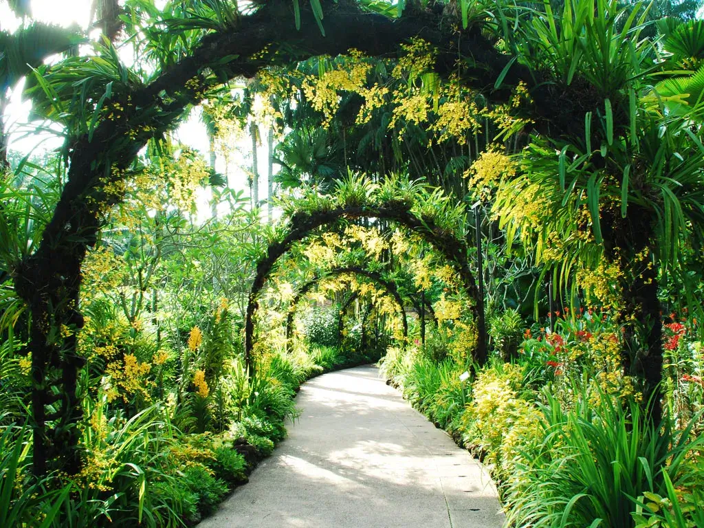 botanic gardens singapore