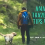 Amazing Traveling Tips with Pets