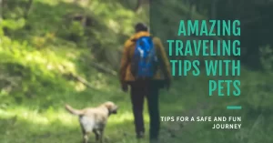 Amazing Traveling Tips with Pets