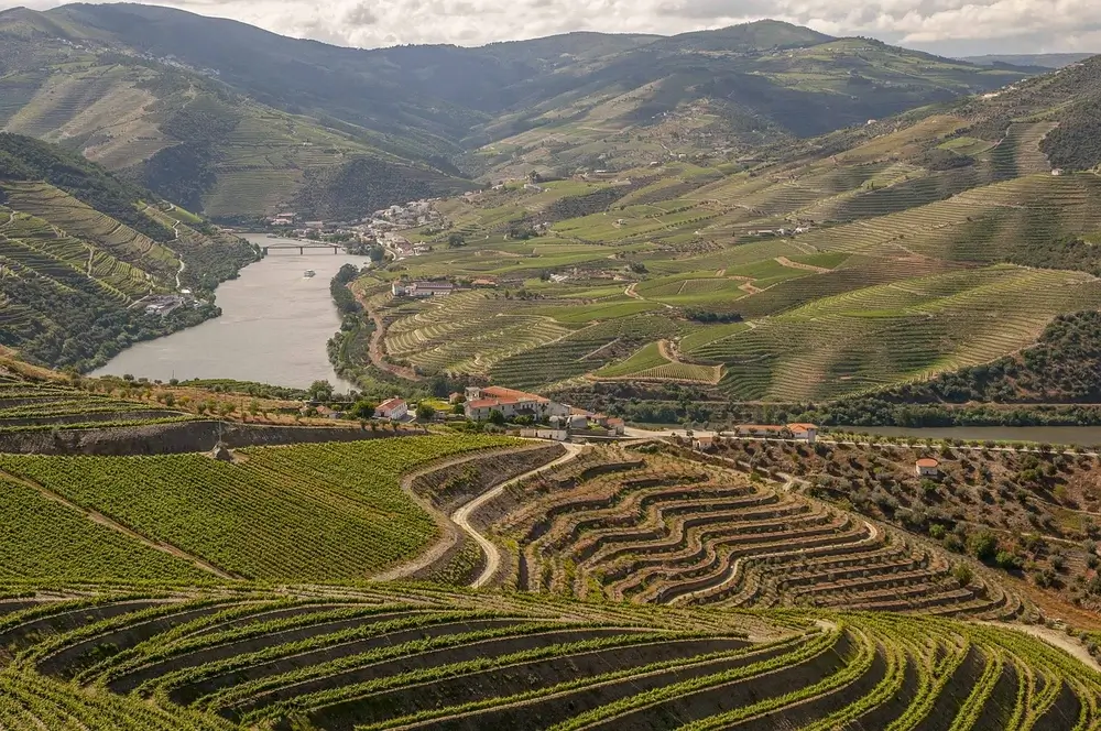 Douro Valley – Portugal 