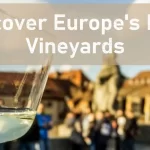 Exploring Europe Vineyards