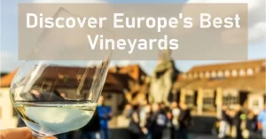 Exploring Europe Vineyards