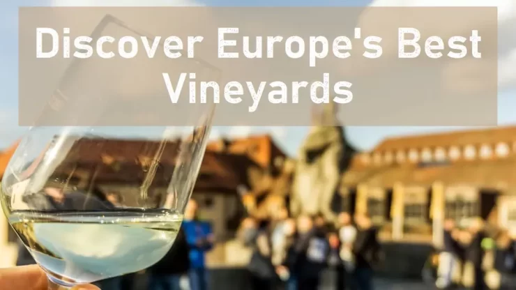 Exploring Europe Vineyards