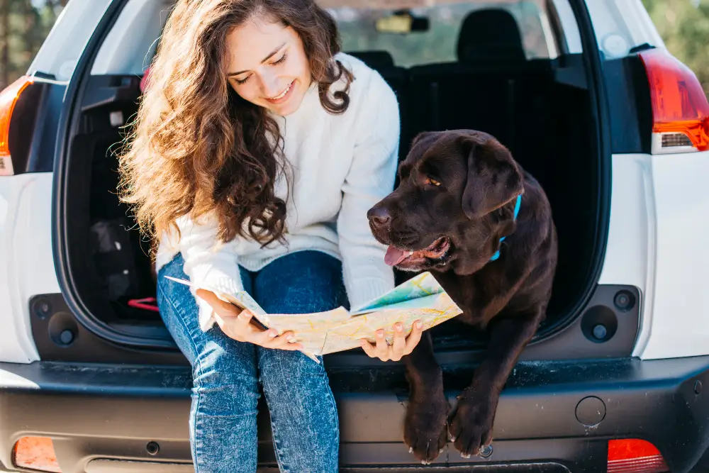 Traveling Tips with Pets